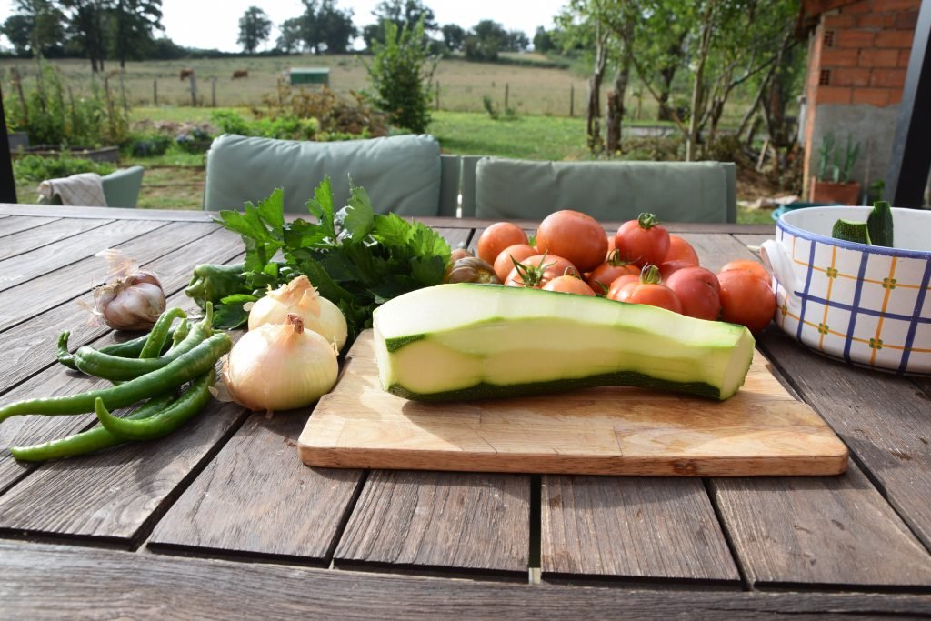 de oogst van de moestuin